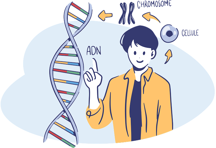 Les notions clés de la génétique