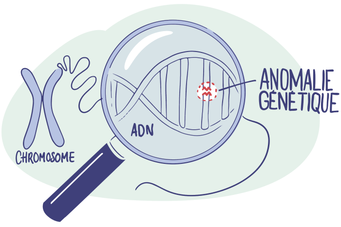 illustration d'une loupe zoomant sur la structure de la double h&eacute;lice d'ADN